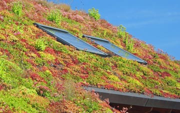 Rudry living roof systems