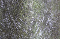 Rudry fibreglass roof work